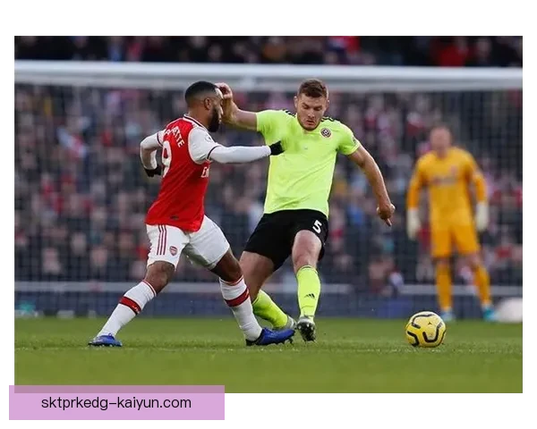 谢菲联降级教训分析，揭示球队表现稳健的前景与问题需解决。