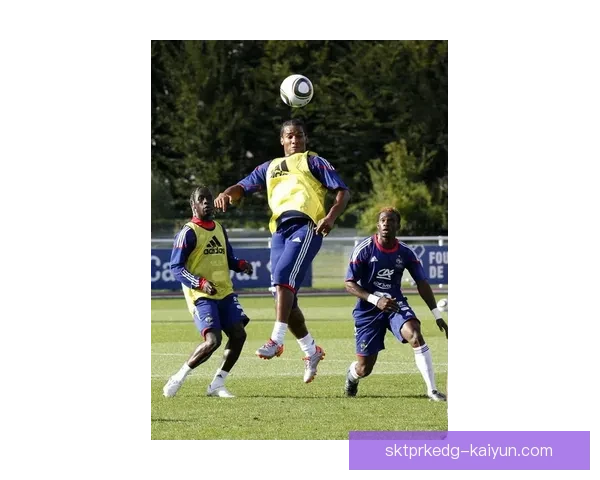 法国队集训动态持续吸引关注，备战状态值得期待